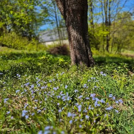Pod Lipou - štiavnické Vrchy Hébergement de vacances Kopanice